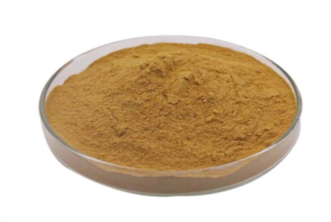 Prevent Atherosclerosis Plant Extract / American Black Walnut Powder / Juglans Nigra Extract / 4: 1~20: 1black Walnut Extract