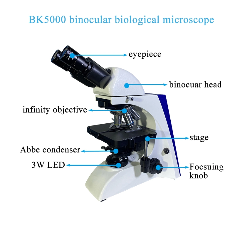 Infinity Plan Optical Bk5000 Laboratory Binocular Biological Microscope