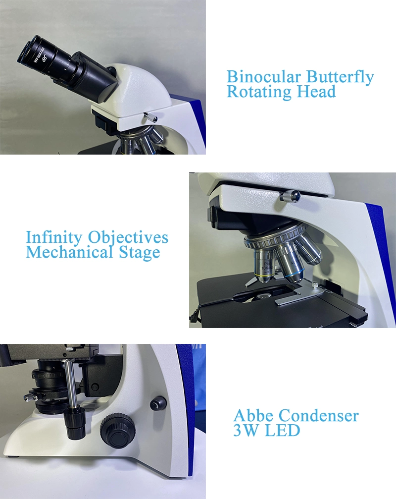 Infinity Plan Optical Bk5000 Laboratory Binocular Biological Microscope