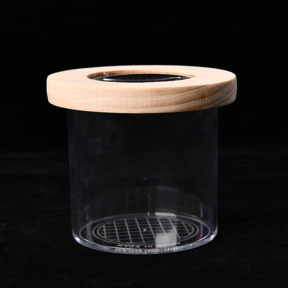 Catch and Release Jar for Bugs and Insects Includes Adjustable Magnifier Box