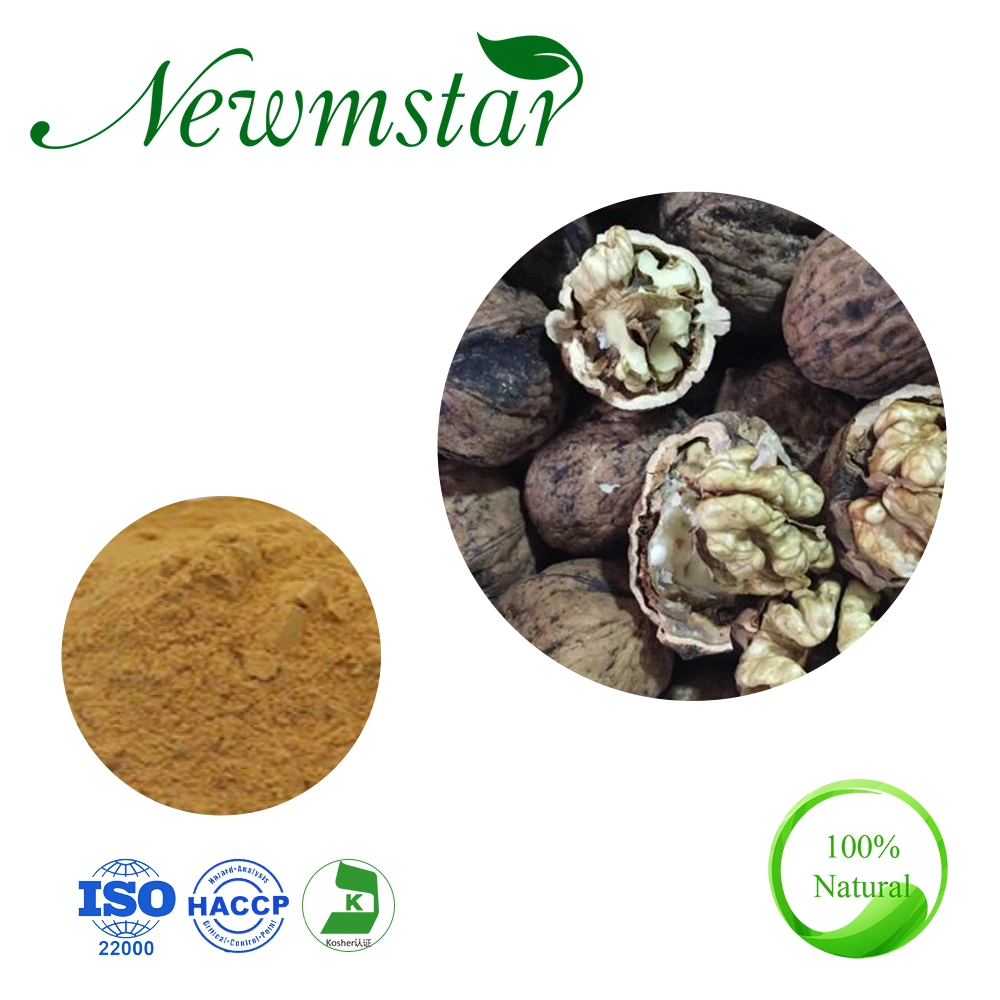 Prevent Atherosclerosis Plant Extract / American Black Walnut Powder / Juglans Nigra Extract / 4: 1~20: 1black Walnut Extract