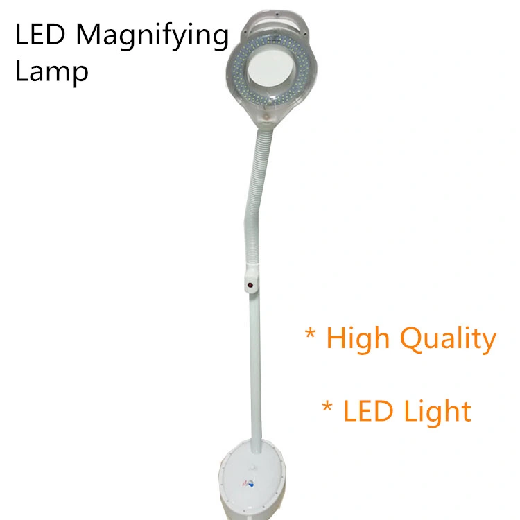 Good Quality Skin Inspection LED Light Magnifying Floor Lamp for Salon Use (B13)