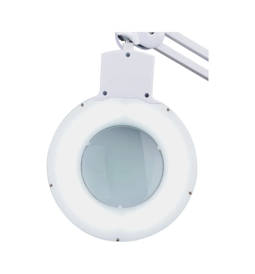 Lighted Magnifying Lamp, Flash Light with Magnifier (BM-9001LED)