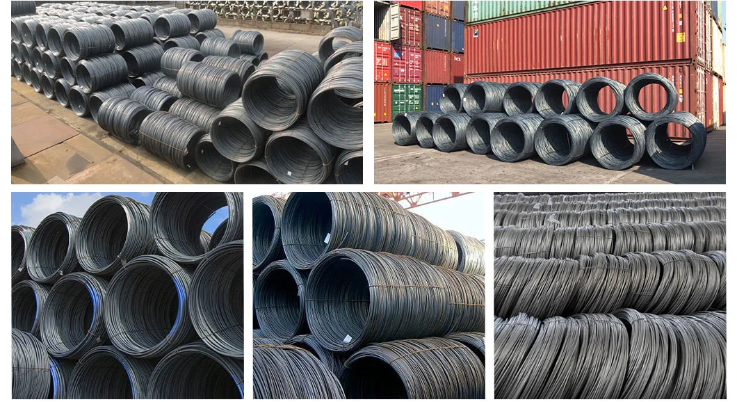 Wholesale High Quality Hot Rolled SAE1006 Prime Hot Rolled Steel Wire Rod in Coil BS ASTM Mild Steel in Coil 6mm Hot-Rolled SAE1006 Binding Wire Rod