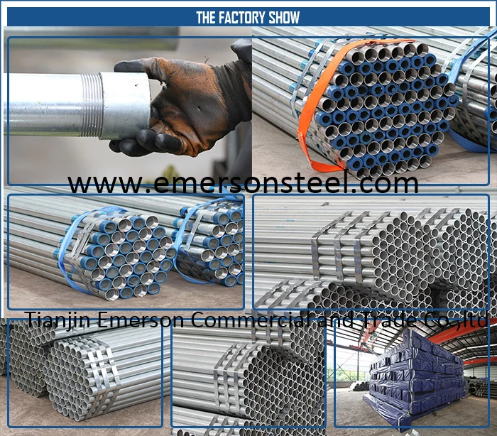 Hot Dipped Galvanized Round Steel Pipe Gi Pipe Pre Galvanized Steel Pipe Galvanised Tube