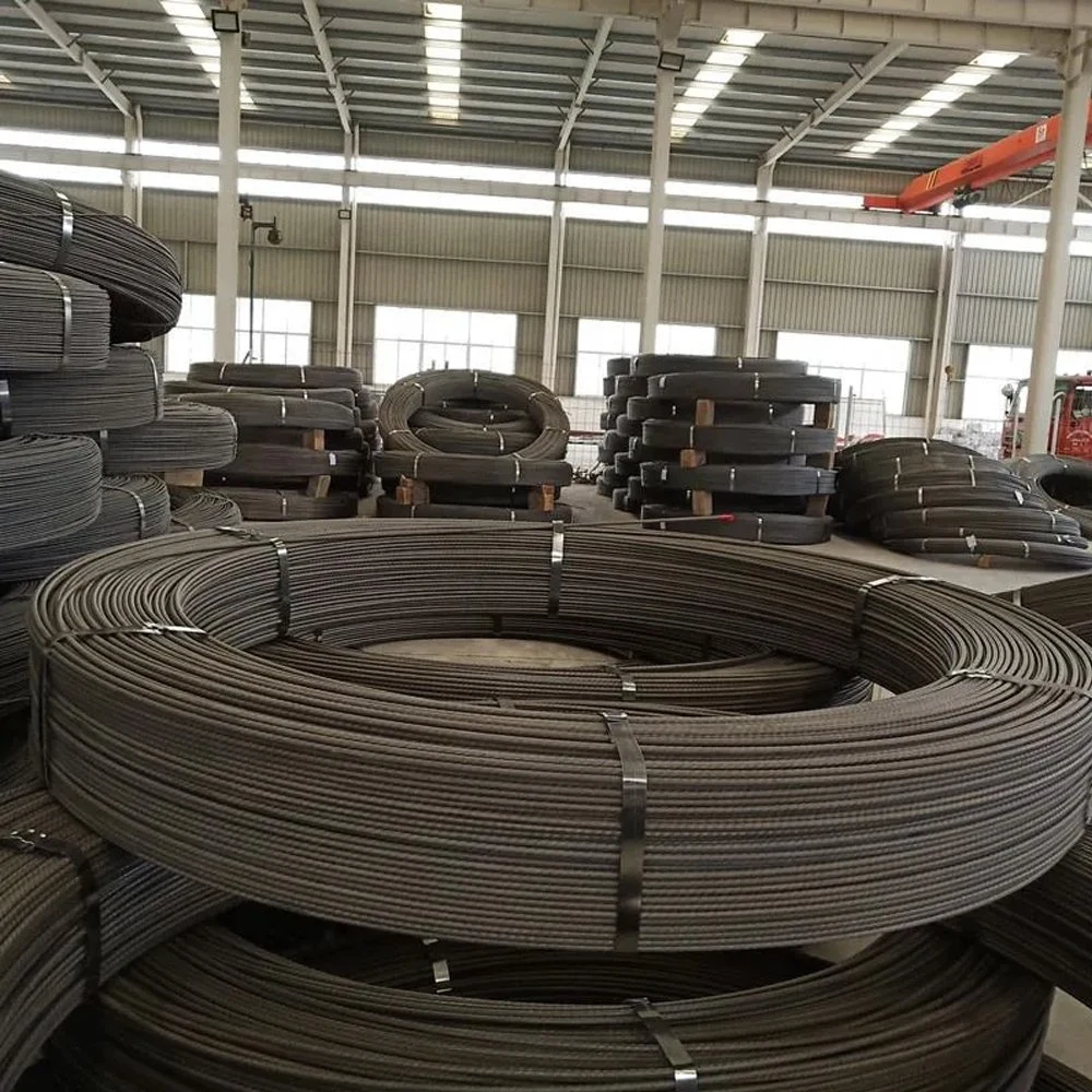 Low Carbon Steel Wire Rod for Iron Nail Making SAE1008 Wire Rod in Coil