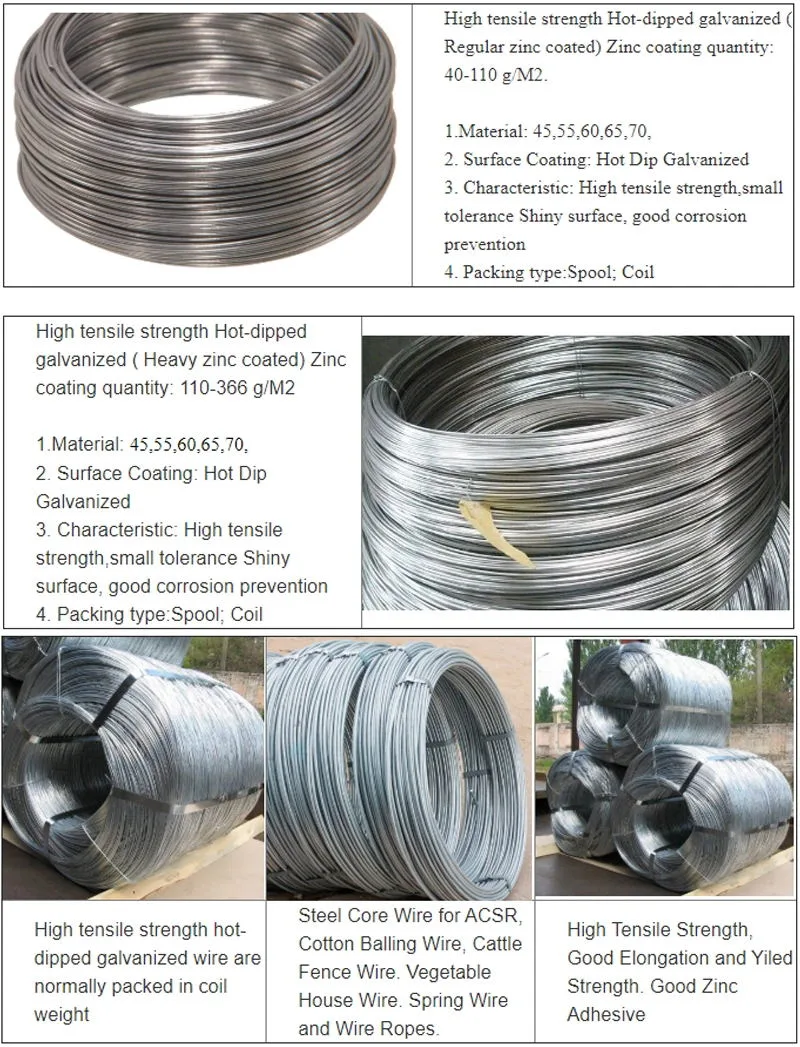 1008 Carbon Steel Wire Rod 5.5 mm 6.5 mm Hot Rolled Wire Rod Q 195