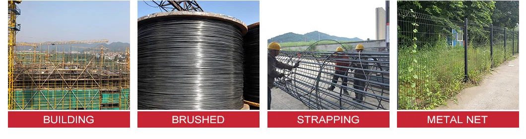 Hot Rolled Steel Wire Rod HRB400 Customize Size 7mm Steel Bar Low Carbon Steel Wire Rod