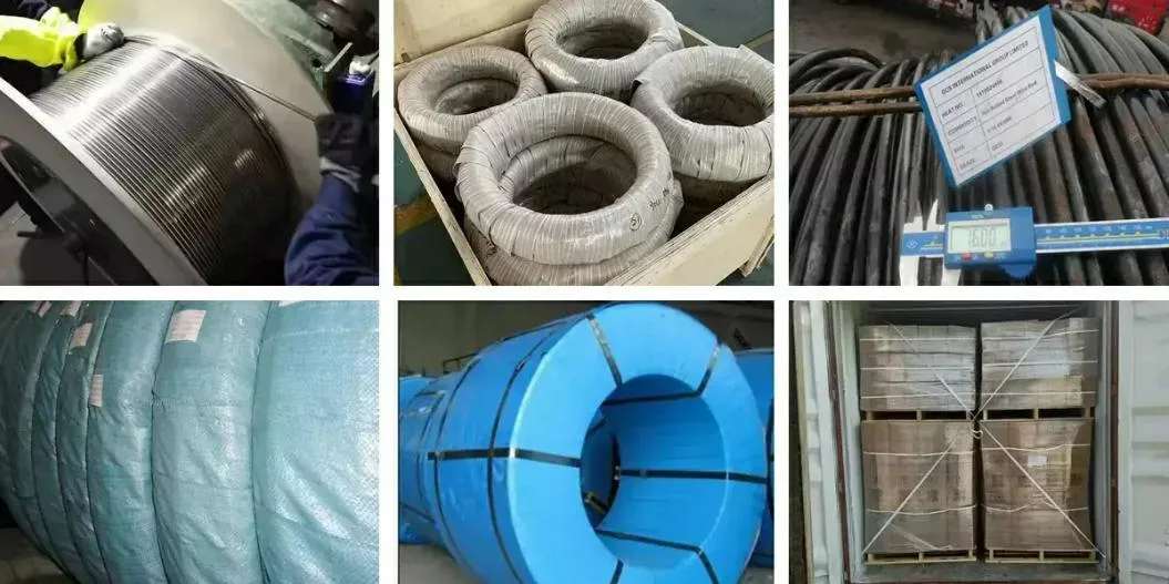 High Carbon Steel Hot Rolled Alloy Steel Wire Rod SAE1008 SAE1070 SAE1022 Cold Drawn Wire