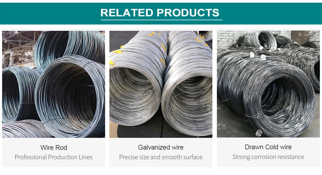 Hot Selling SAE1008 / 1012 / 1018 / 1022 Carbon Steel Wire Rod with Manufacturer Price