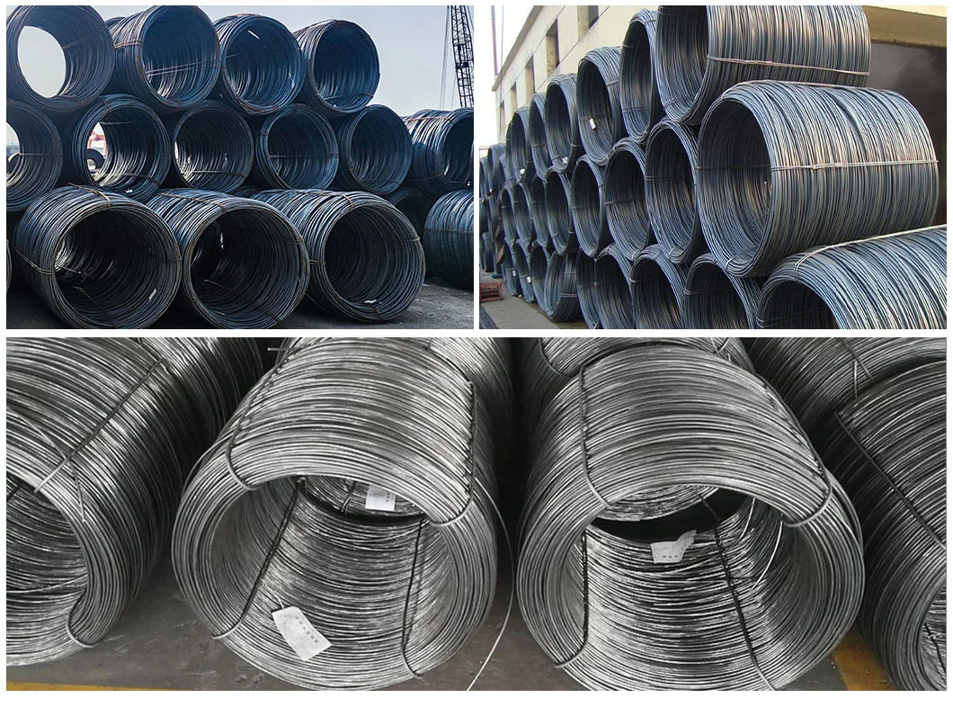Hot Selling SAE1008 / 1012 / 1018 / 1022 Carbon Steel Wire Rod with Manufacturer Price