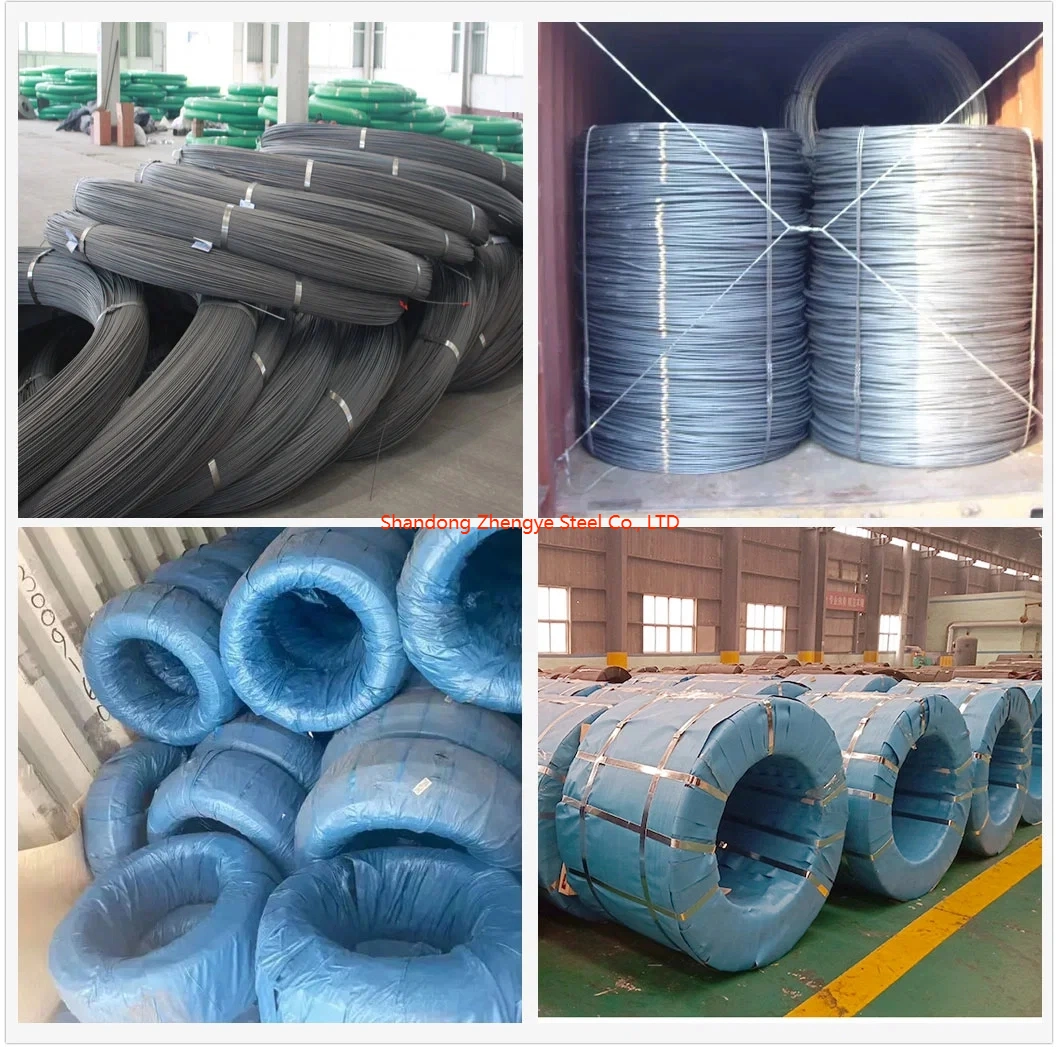 10mm 12mm HRB500 HRB400 Hot Rolled Steel Rebar Coil Iron Wire Rod in Coil for Construction Ribbed Rebar