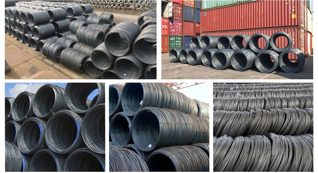 5.5mm 6.5mm Hot Rolled Wire Rod Q195 SAE1008 Carbon Steel Wirerod Low Carbon Rod 12mm 13mm Steel Wire Rods