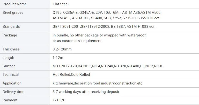 AISI 1045 / SAE 1045 Steel Square Bar / En8 C45 S45c Hot Rolled Solid Square Flat Rectangle Special Steel Bar