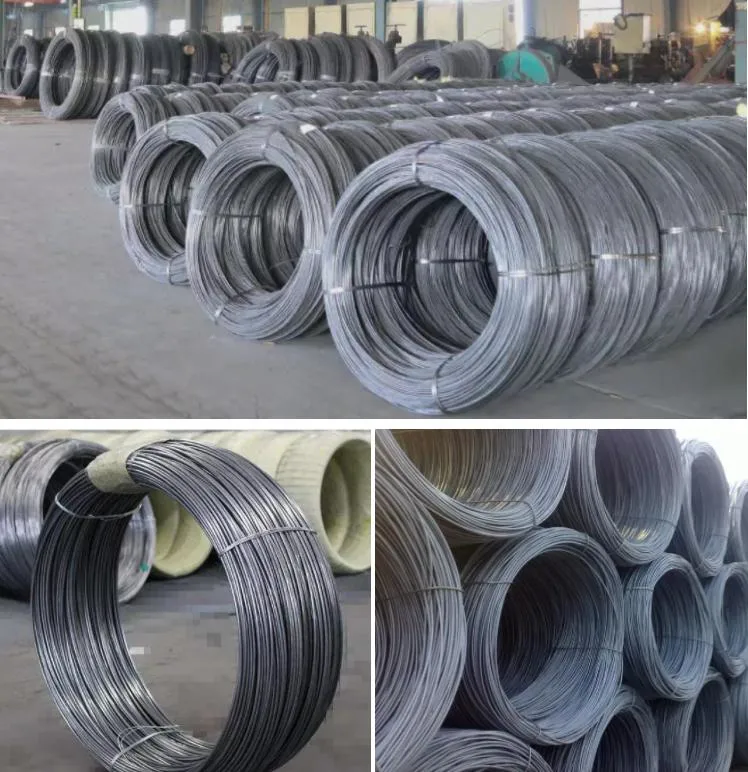 Q195 Q235 SAE1008b Black Annealed Cold Rolled Hot Rolled Electro Galvanized Carbon Steel Wire Rod