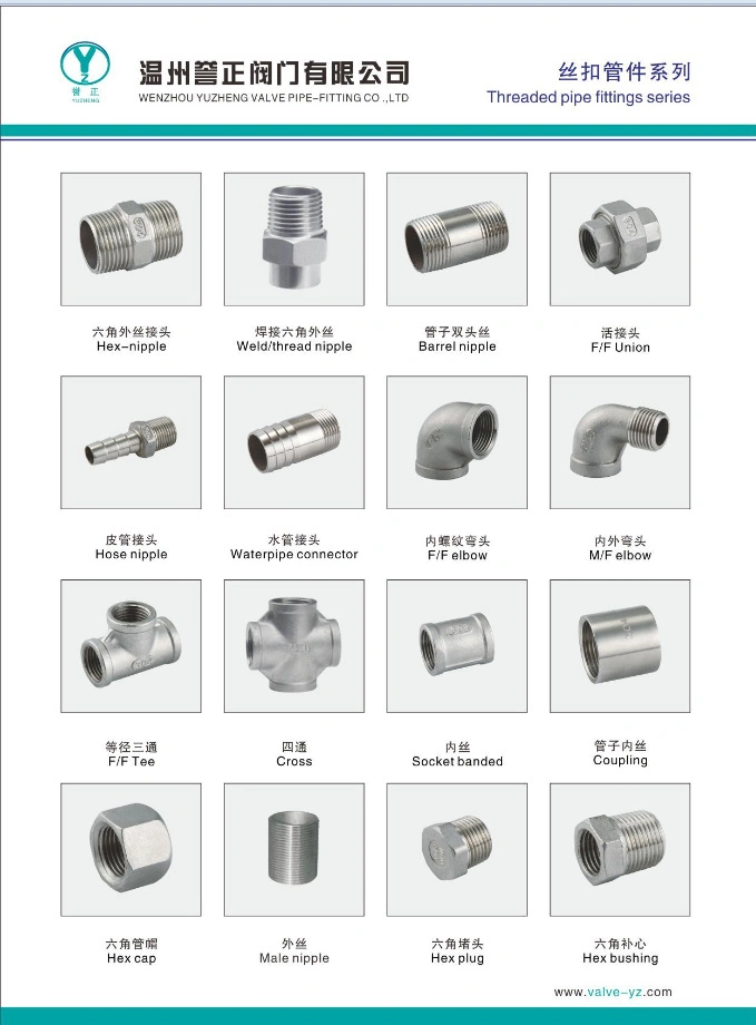 High Quality Half Stainless Steel High Pressure Equal Socket Banded for Oil