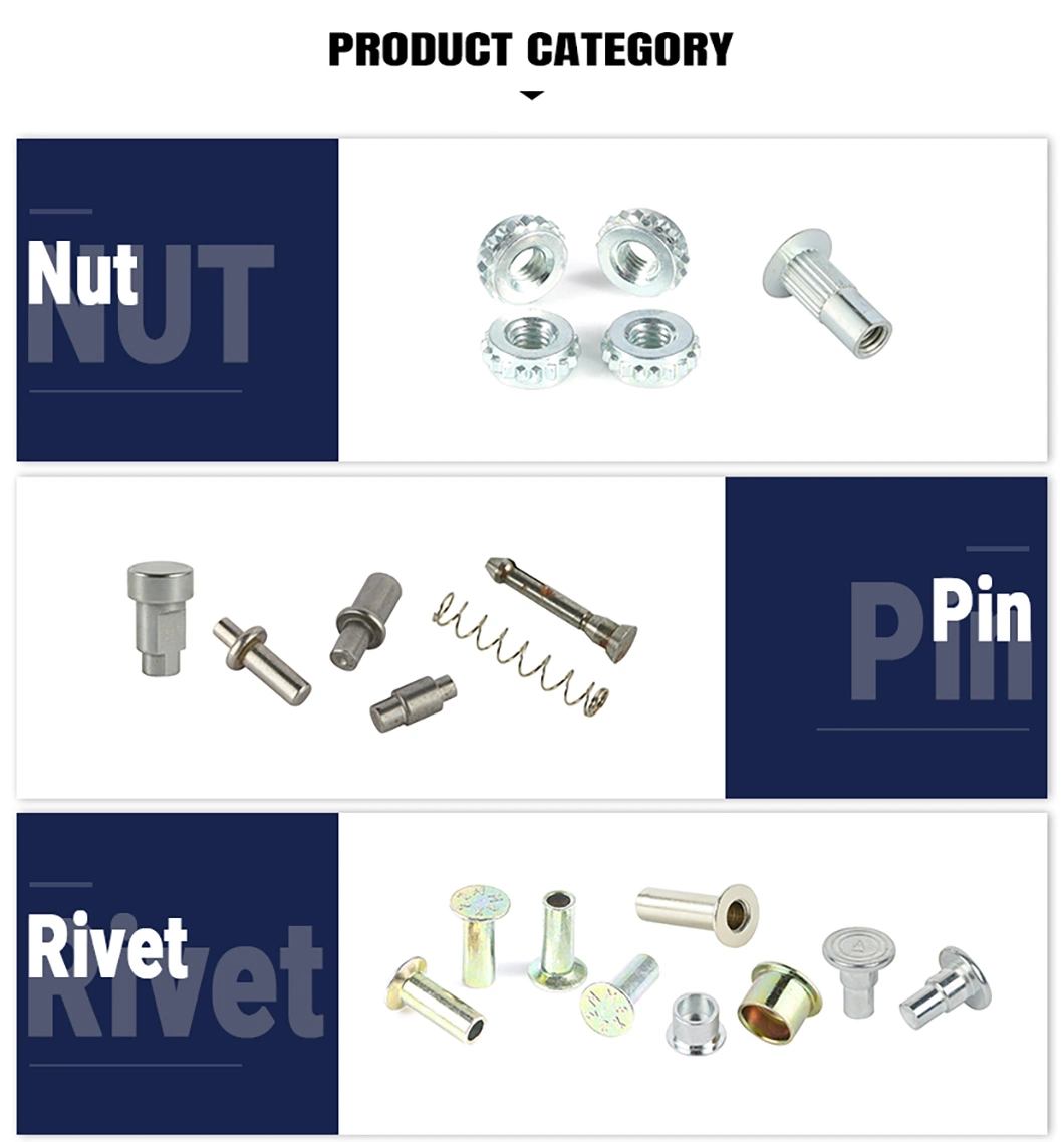 Supplier Full Inspection Types of Shaped Fasteners