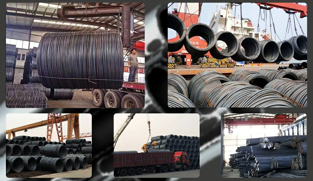 High Carbon Steel Wire Rods Low Carbon Steel Wire Rods 5mm 5.5mm 6mm 6.5mm 7mm 8mm 9mm 10mm 11mm 12mm 13mm 14mm Steel Wire Rods