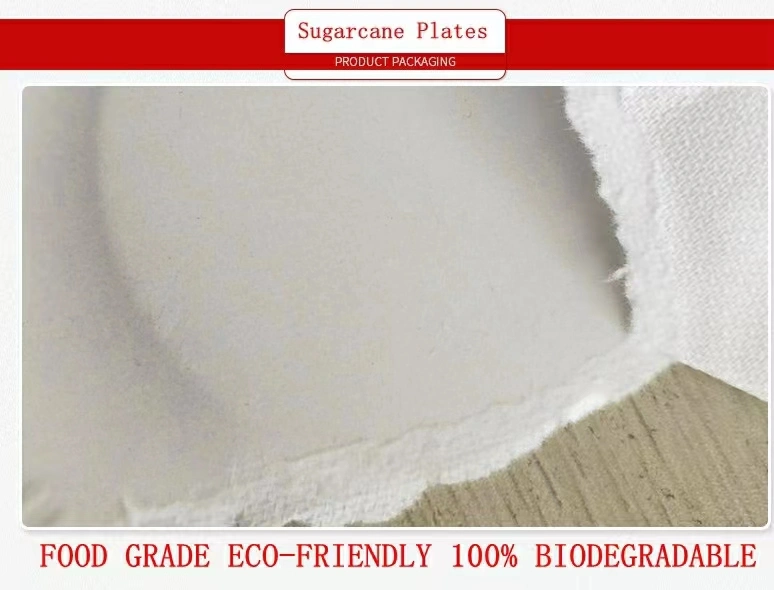 Free Sample High Quality Disposable Biodegradable Restaurant 8.75 Inch Round Plate