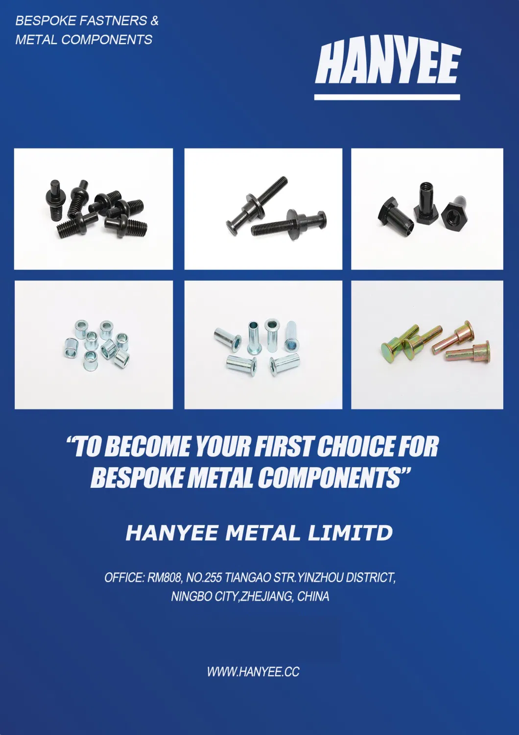 Hanyee Building Hardware Gold Plated Fasteners