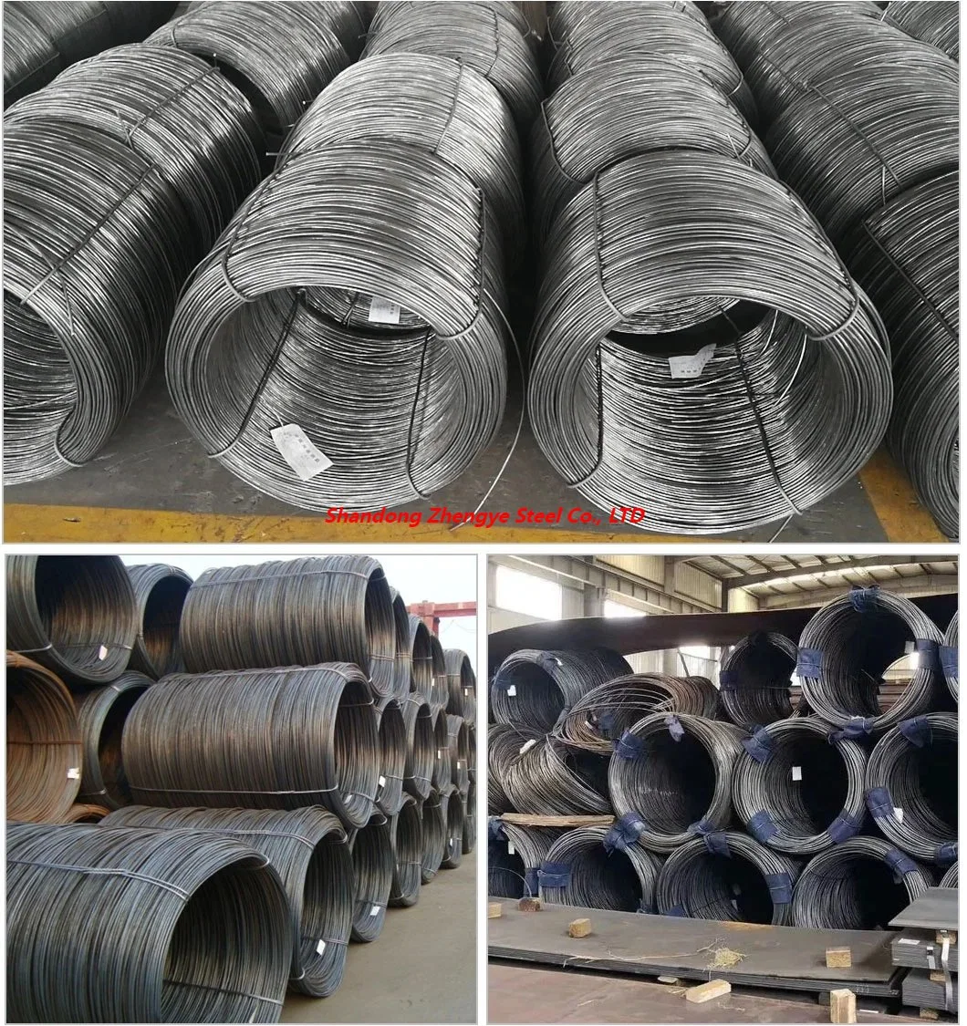 High Grade China Factory 1mm 1.5mm 2.5mm 4mm 6mm 10mm Galvanized Steel Wire Steel Wire Rods Price Per Roll