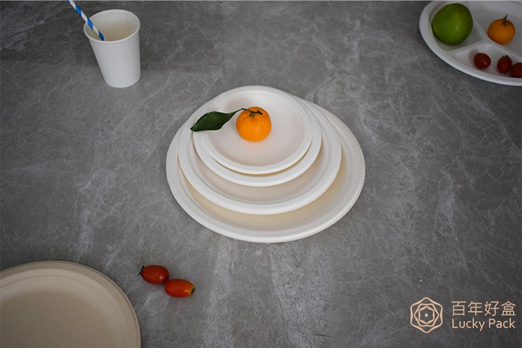 9 Inch Biodegradable Compostable Tableware Disposable Sugarcane Bagasse Paper Round Plate