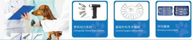 Veterinary Stainless Steel 2mm T Type Plate-II with 2 Holes in Head