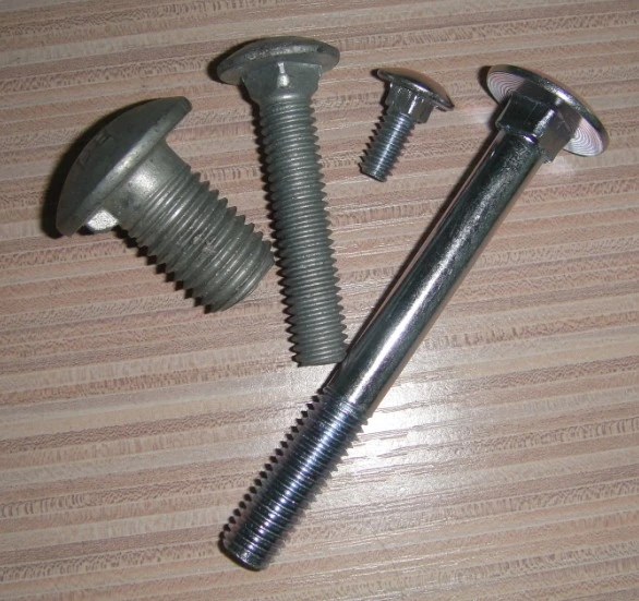 Stainless Steel Half Round Head Square Neck Carriage Bolt DIN603