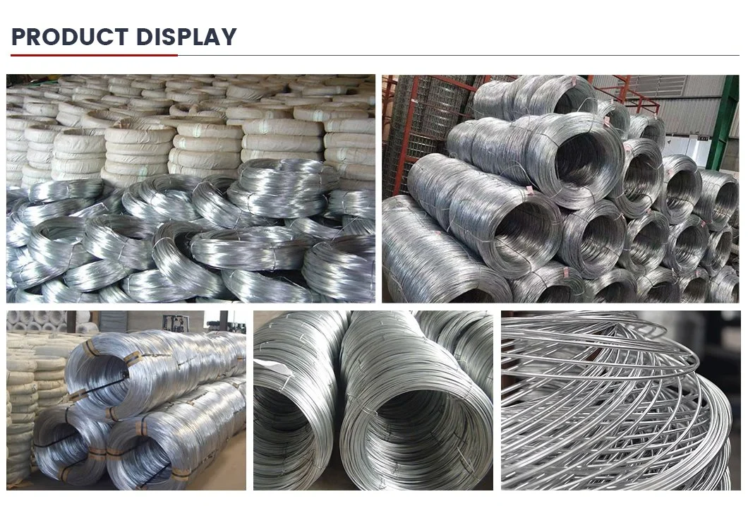 Factory Directly Supply Price Zinc Coated Bwg 8--Bwg 22 2.5mm 3mm 4mm Galvanized Steel Wire Carbon Steel Wire Rod for Manufacturing Fencing Construction