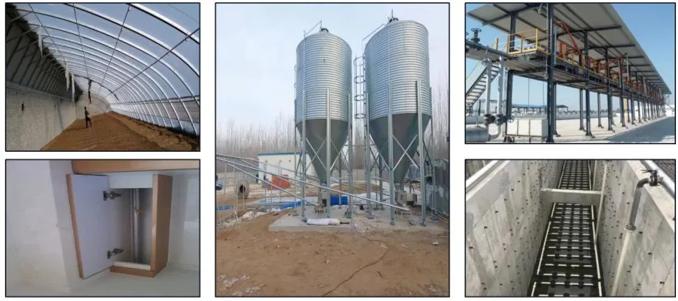 Galvanized Steel Pipe Poultry Feeder Galvanized Steel Pipe Scaffolding Round Hot DIP Steel Pipe