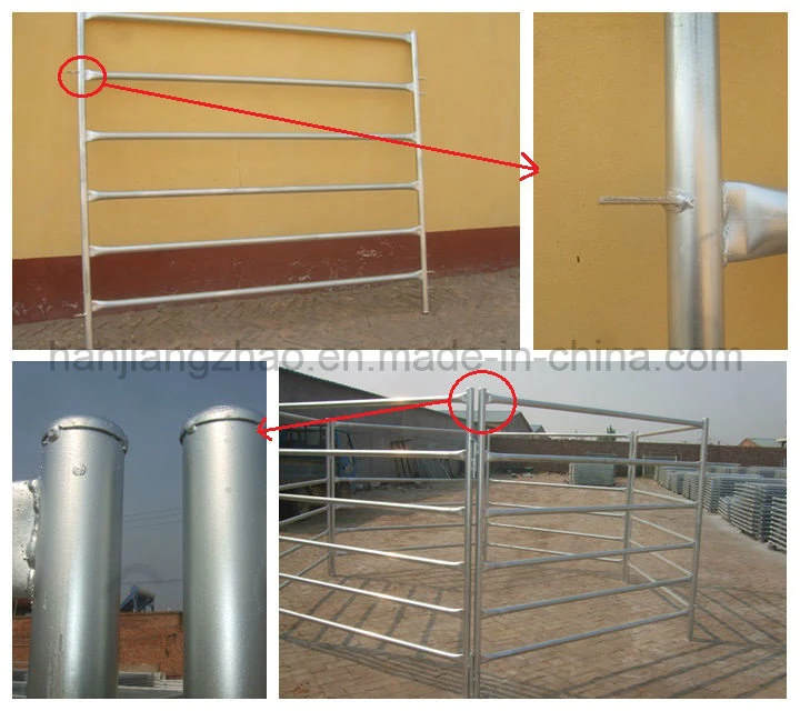Oval Pipe Square Pipe Round Pipe Stable Corral Pen for Sale Xmr194