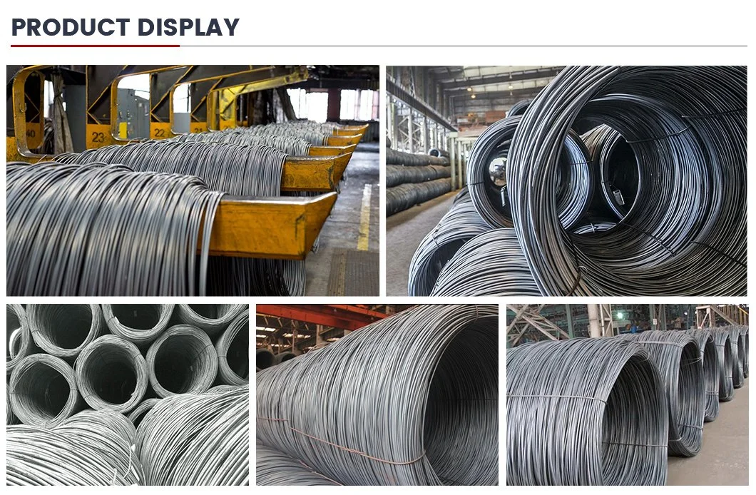 Factory Hot Sale SAE 1008 5.5mm 6.5mm 8mm 10mm 12mm Hot Rolled Low Carbon Steel Wire Rod in Coils