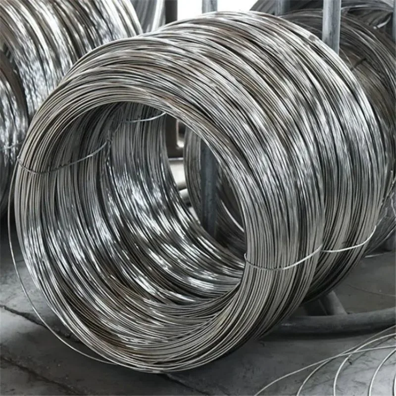 Hot Sell 304 304L 316 Stainless Steel Wire Hard 201 Stainless Steel Wire 2mm 4mm Stainless Steel Wire Rod