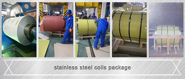 Cold Rolled Metal Stainless Steel Coil Sheet 201 304 316L 430 Half Hard Stainless Steel Strip Coils