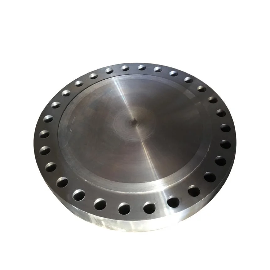 1/6blind Flange Flat Pipe Plate Industrial Carbon Steel Round Threaded Metal Flange OEM Aluminum Flan