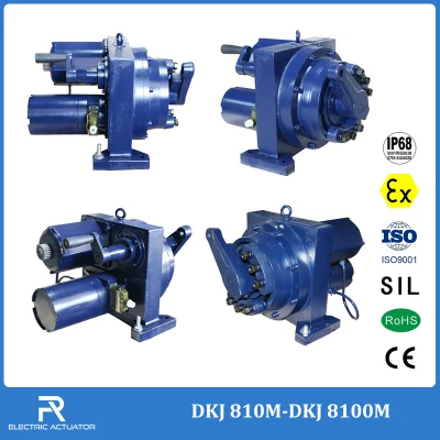 Tres ciclos y medio señal de entrada y salida 0-10mA tensión 220V/380V 50Hz Dkj 810m-Dkj 8100m un cuarto de vuelta inteligente