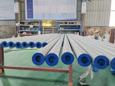  Tubo sin soldadura ASTM A213 Tp444 Uns S44400