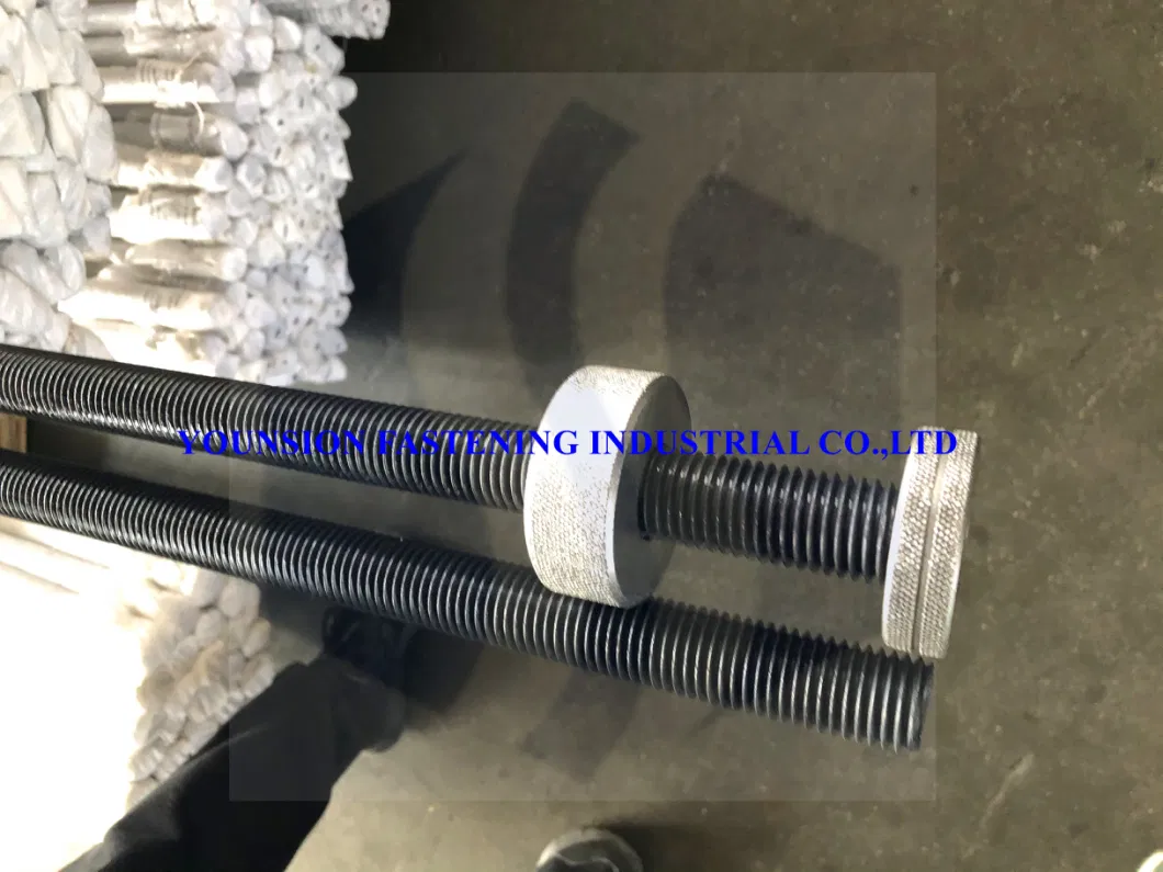 Shining White Blue Zp and 4.8 Grade with Heavy Weight Thread Rod in DIN975