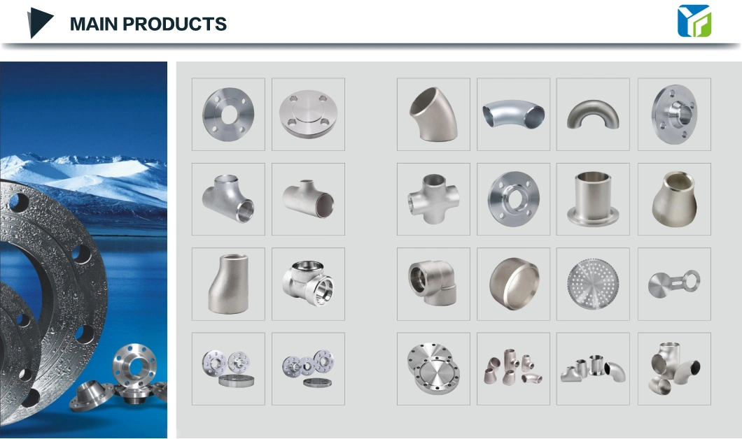 SS304L SS316 Plate Flange Pipe Fittings Stainless Steel Round Forged Threaded Flange