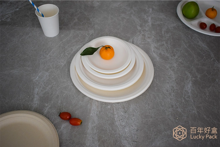 9 Inch Biodegradable Compostable Disposable Sugarcane Bagasse Paper Tableware Round Plate