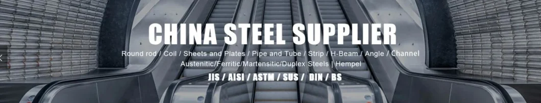 Profession Steel Manufacturer Precision 10inch Diameter SUS 201 304 316L 309S 430 Stainless Steel Round Bar