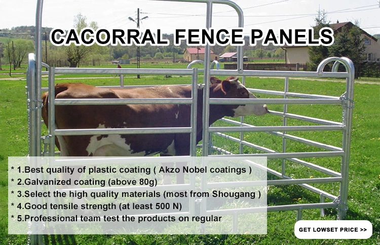 New Arrival 6-20FT Custom-Made Length Round Steel Tube Livestock Horse Corral Fence