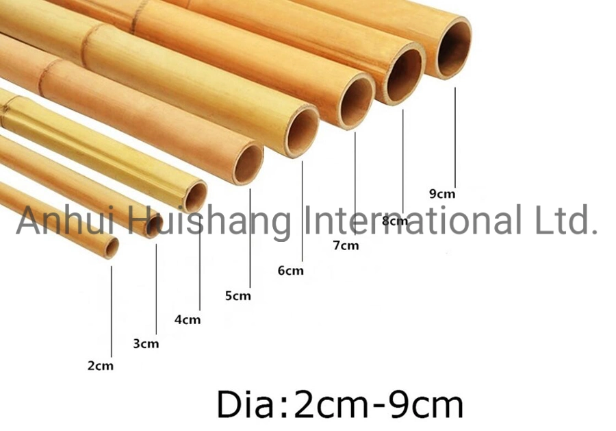 Natural Bamboo Canes Bamboo Poles &amp; Stakes