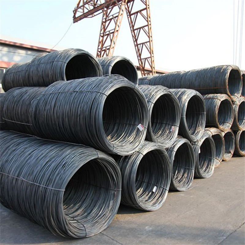 SAE1006 1008 1010 1045 Alloy Mild 5.5mm Hot Rolled Steel Wire Rod