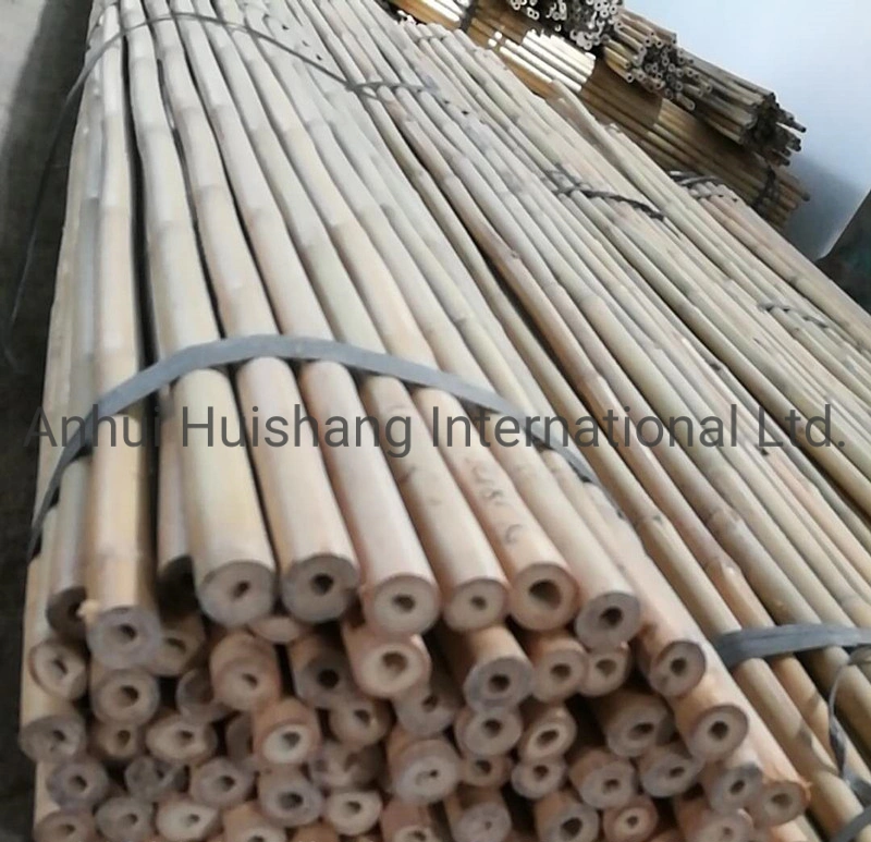 Natural Bamboo Canes Bamboo Poles &amp; Stakes