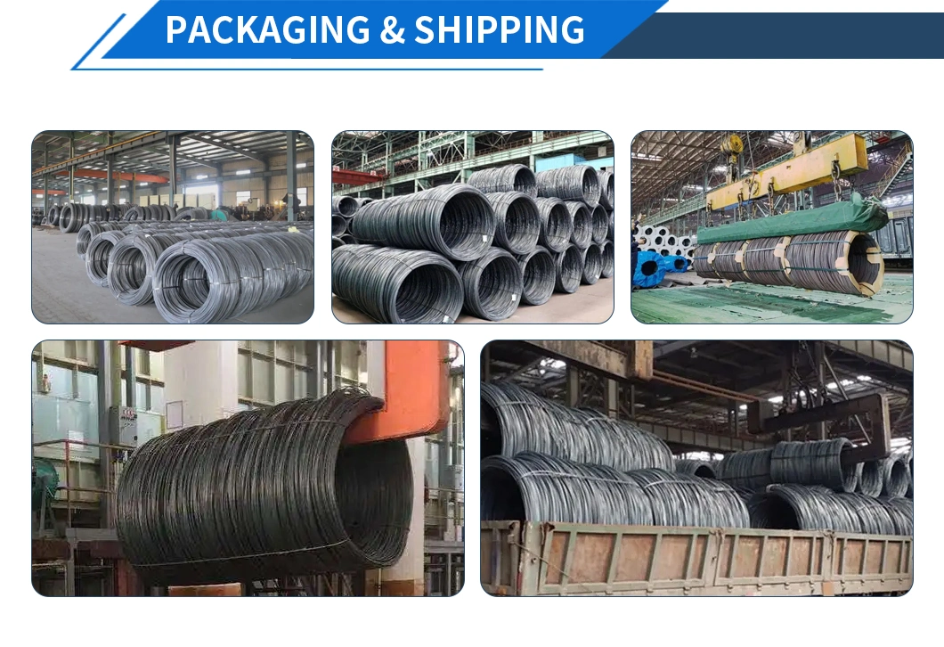 Hot Rolled Steel Wire Rod Hpb235 HRB335 HRB400 Wire Rod in Coils