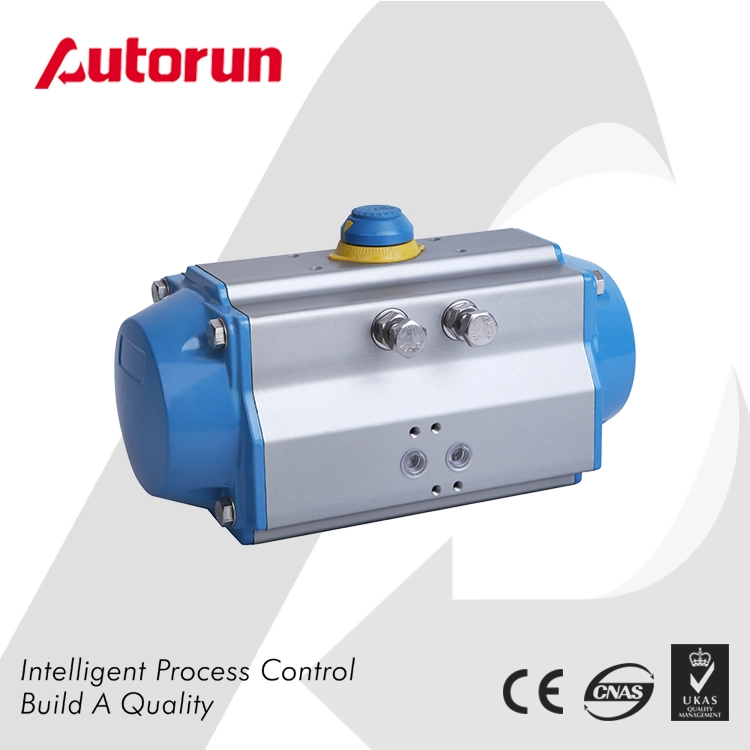 Wenzhou Supplier Double Acting Quarter Turn Pneumatic Actuator
