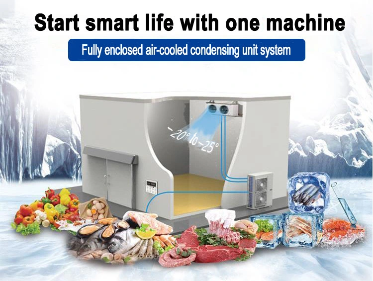 Restaurant Commercial Cold Storage Room Walk in Refrigerator Cold Room Freezer