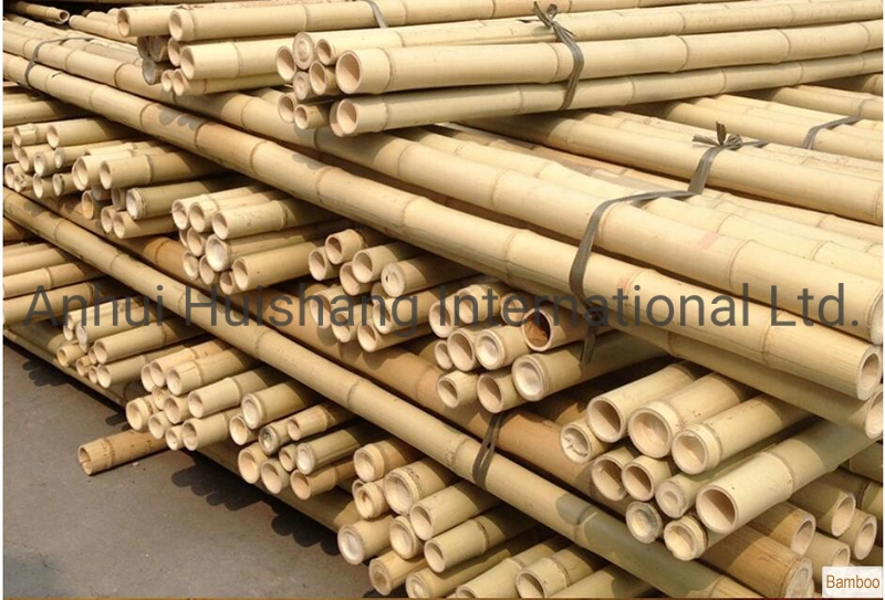 Natural Bamboo Canes Bamboo Poles &amp; Stakes