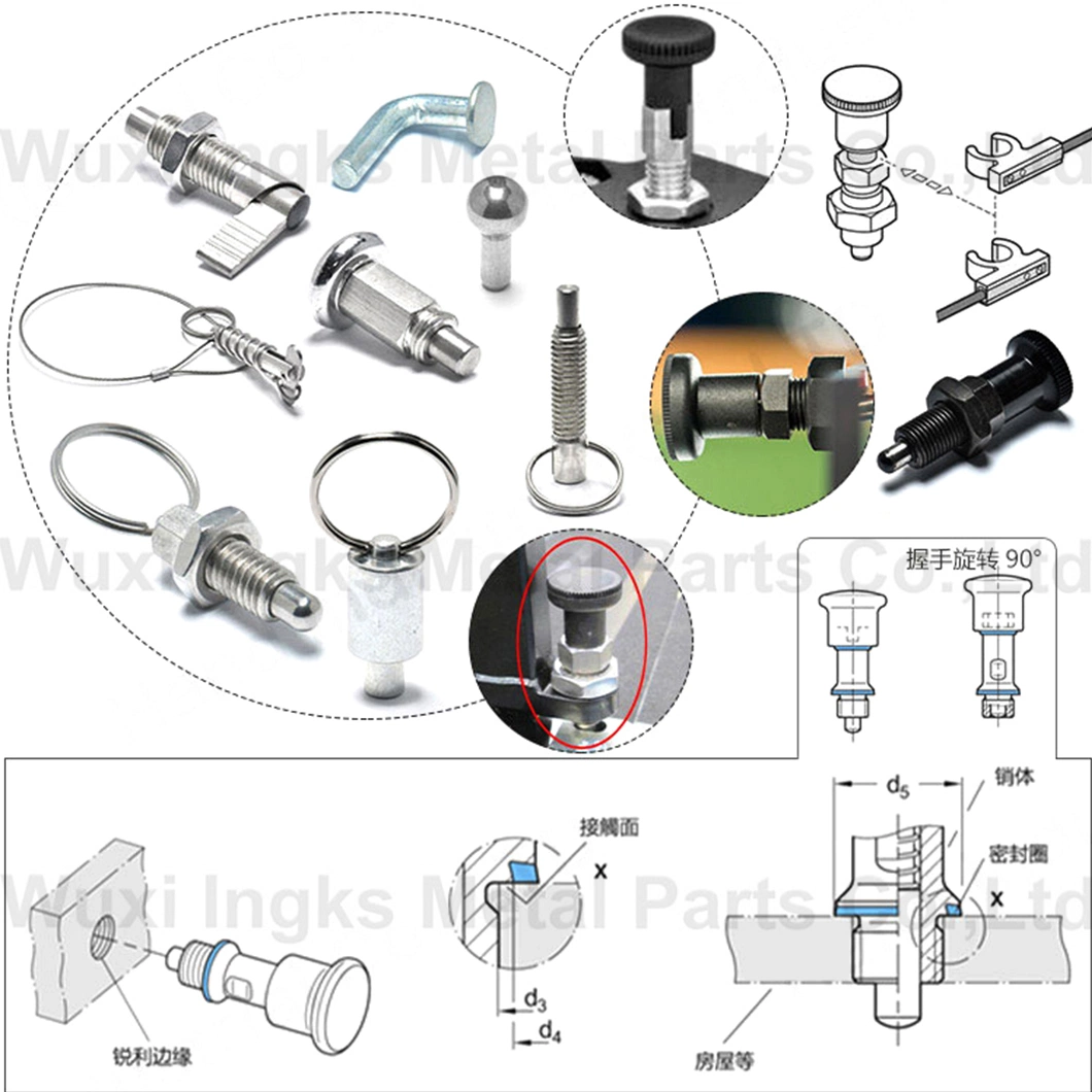 Stainless Steel Body Aluminum Head T Handle Quarter Turn Indexing Plunger